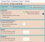 FBZP settings All company codes 