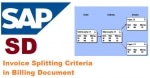 Invoice Splitting Criteria in Billing Document