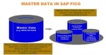 Master Data available in FICO