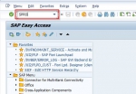 Define Release Key in SAP