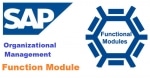 SAP HR OM useful Function Modules - Organizational Management