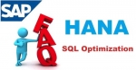 SAP HANA SQL Optimization Interview Questions and Answer