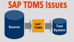SAP TDMS Issues