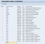 How can Lock/Unlock transaction codes via SM01?