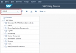 What is SAP Account Group and What does it control.