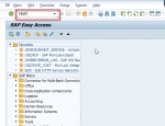 Automatic Payment Program in SAP