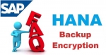 SAP HANA Backup Encryption Interview Question and Answer