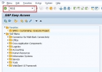 Define and Delete Bank Key in SAP