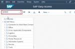SAP Batch Number T-codes and How to Find Batch Number in SAP