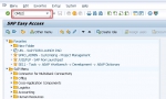 Define Material Types in SAP MM