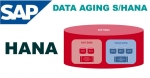 Data Aging in SAP S/4HANA