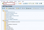 Automatic Payment Program F110 in SAP