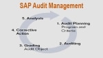 SAP Audit Management Key Features and Error with Proposed Solutions