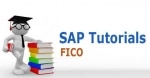 SAP FICO Training Material with Screen Shots