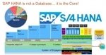 Difference between S/4HANA and SAP Suite on HANA