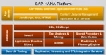Uninstall SAP HANA XS Advanced