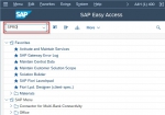 Request Type in SAP