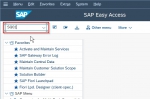 Maintain SAP Query in Different Languages