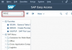 Limit SAP Logon Attempt Using