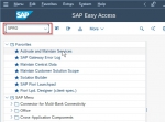 Evaluation Wage Type in SAP