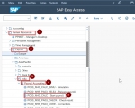 Execute Payroll in SAP HR