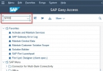 Create Data Set in SAP TM