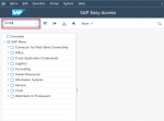 Role Comparing in SAP