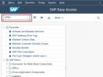 Registering Geocoding Program in SAP System