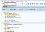 Define Reference User ID in SAP
