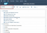 Define Bin Access Type in SAP