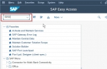 Create T-code for SAP Query