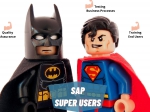 SAP Super User: Roles & Challenges