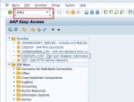 Define Validity Period for Authorization in SAP