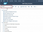 Define Salutation in SAP System