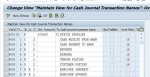 How to Locate Special GL Indicator Option in Cash Journal? 