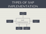 Types of SAP Projects